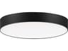 Trim Outdoor Ceiling Light