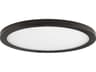 Wafer Outdoor Ceiling Light