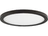 Wafer Outdoor Ceiling Light