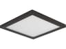 Wafer Outdoor Ceiling Light
