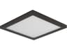 Wafer Outdoor Ceiling Light