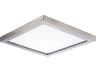Wafer Outdoor Ceiling Light