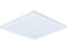Wafer Outdoor Ceiling Light