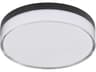 Edge 1-Light Black Round Flush Mount