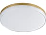 Edge 1- Light Antique Brass LED Round Flush Mount