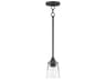 Hudson 1- Light Black Cylinder Mini Pendant