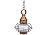 Onion 1-Light Outdoor Hanging Light