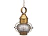 Onion 1-Light Outdoor Hanging Light