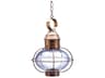 Onion Outdoor Hanging Light