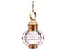 Onion 1-Light Outdoor Hanging Light
