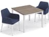 Oland Aluminum Chalk 3 Piece Outdoor Dining Set with Spectrum Indigo Cushions