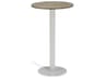 Travira Aluminum Vintage Round Bar Table