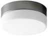 Zuri 1-Light Satin Nickel Round Flush Mount