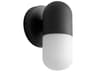 Corpus 1-Light Outdoor Wall Light