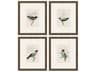 Animals On Perch-I Wall Art Set of 4