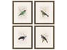 Animals On Perch-II Wall Art Set of 4