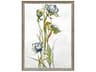 Florals Late Summer Wildflower-I Wall Art