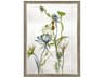 Florals Late Summer Wildflower-II Wall Art