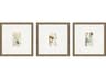 Florals Antique Botanical-I Wall Art Set of 3