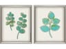 Florals Botanical-I Wall Art Set of 2