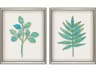 Florals Botanical-II Wall Art Set of 2