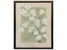 Florals Spring Renewal-II Wall Art