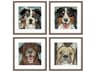 Animals Dog Collage-I Wall Art Set of 4