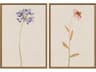 Florals Wild Flourish-I Wall Art Set of 2