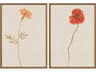 Florals Wild Flourish-II Wall Art Set of 2