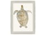 Neutral Turtle-I Framed Wall Art with Silver Leaf Finish