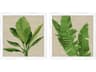 Palm Isle-I Wall Art Set of 2