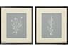 Florals Nature's Gift-II Wall Art Set of 2