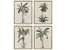 Florals Contemporary Palm-I Wall Art Set of 4