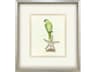 Treasure Parrot II Framed Art
