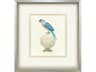 Treasure Parrot IV Framed Art