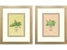 Grecian Vase Palm I Framed Art - Set of 2