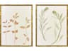 Floral Trace I Framed Art - Set of 2