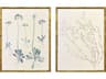 Floral Trace III Framed Art - Set of 2
