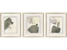 Rock Garden Framed Art - Set of 3