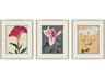 Enchanted Blooms I Framed Art - Set of 3