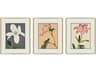 Enchanted Blooms II Framed Art - Set of 3