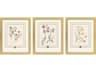 Garden Study II Framed Art - Set of 3