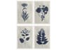 Florals Pressed Flower-I Wall Art Set of 4