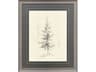 Elegant Pine I Framed Art