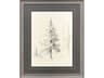Elegant Pine II Framed Art