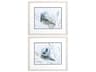 Waterside Ocean Beauty-B Wall Art Set of 2
