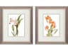Florals Floral Beauty-I Wall Art Set of 2