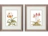 Florals Floral Beauty-II Wall Art Set of 2