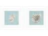 Waterside Seashell-A Wall Art Set of 2
