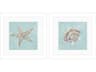 Waterside Seashell-B Wall Art Set of 2